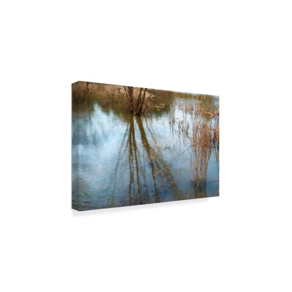 Anthony Paladino 'Down By The Swamp' Canvas Art,12x19